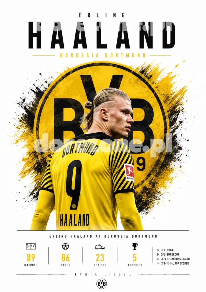 Plakat A3 Erling Haaland